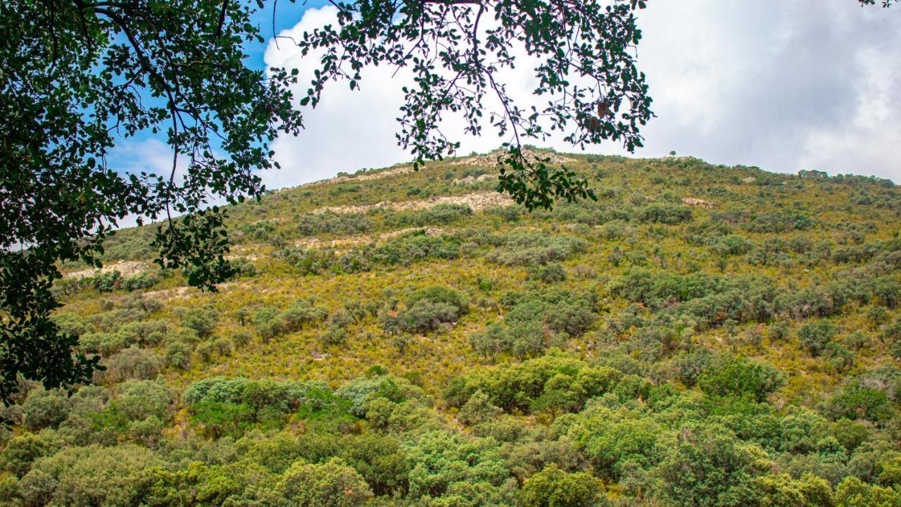 Casa Rural Valle De Los Molinos El Cristo del Espiritu Santo Bagian luar foto